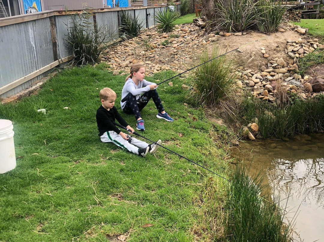 Cripps Family Fish Farm景点图片