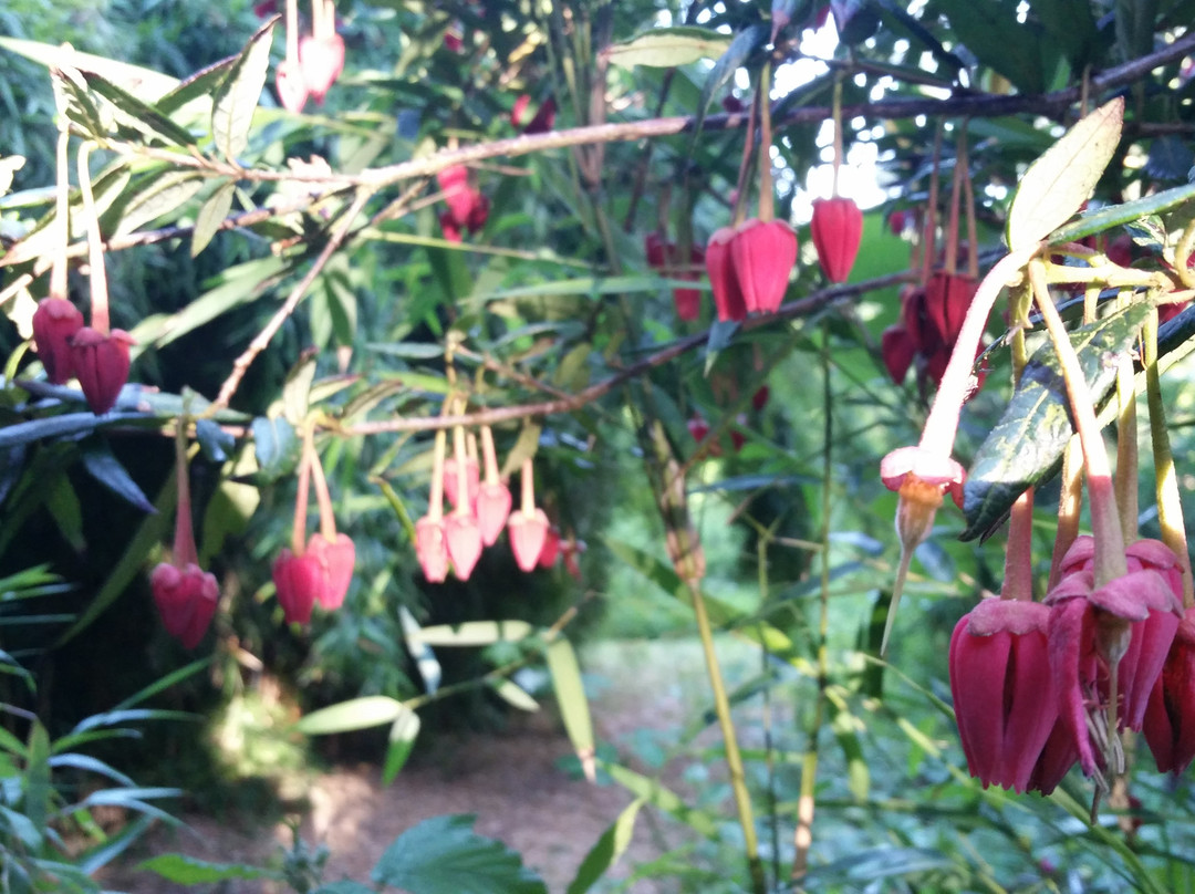 Sand-Sidbury必去景点