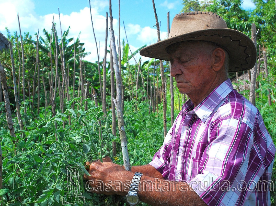 Cabana del Sol - Ecological Farm主图