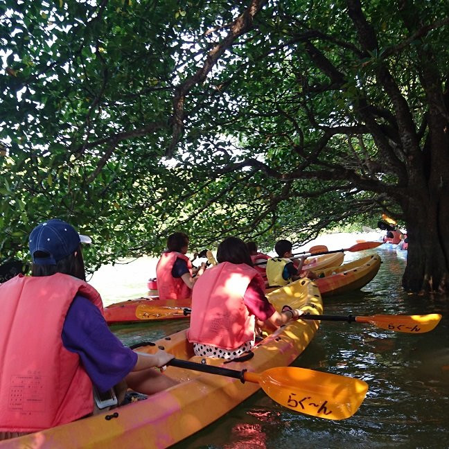 Ishigaki Island Canoeing Tour Lagoon景点图片