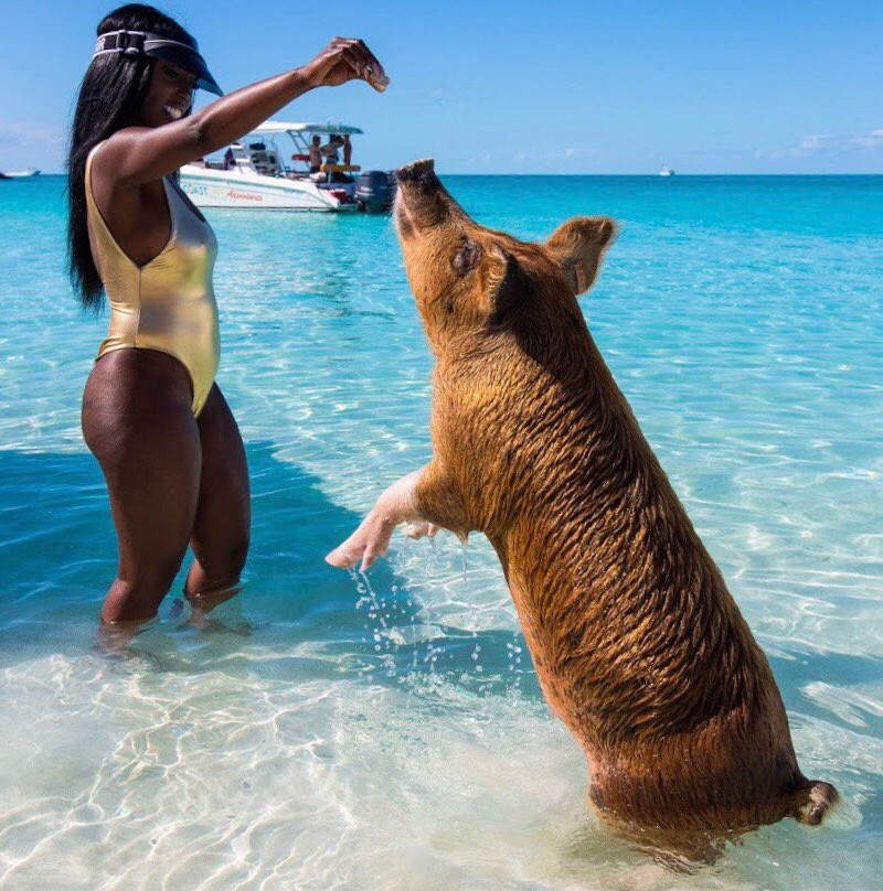 Live Good Adventures-George Town必去景点