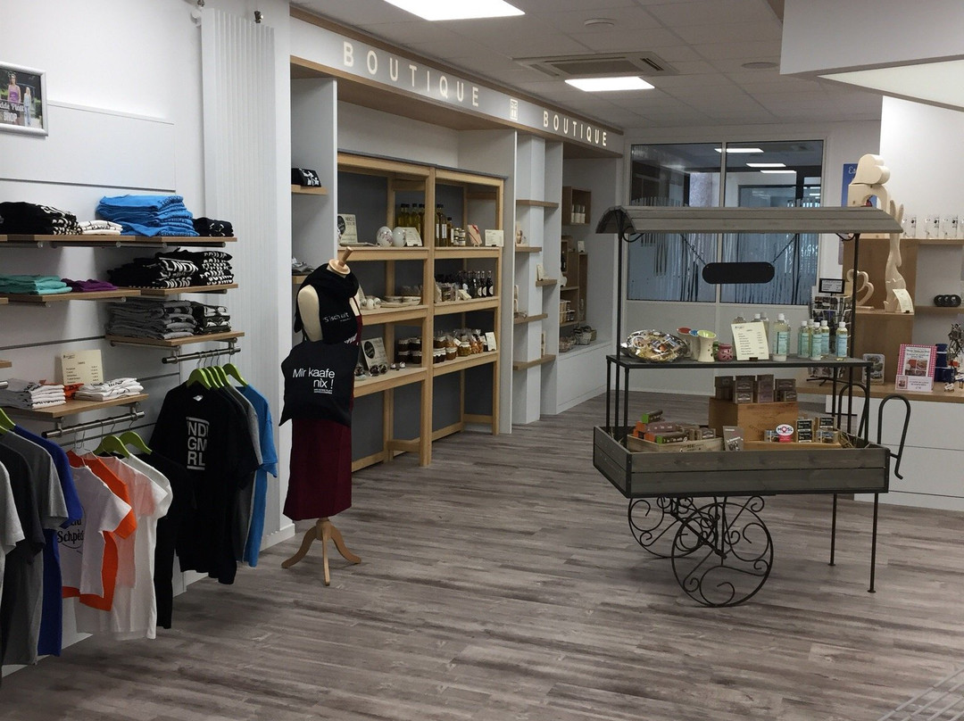 Office de Tourisme Sarreguemines Confluences-萨尔格米纳必去景点