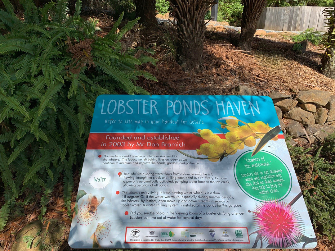Lobster Ponds景点图片