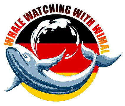 Whale Watching With Wimal-美蕊沙必去景点