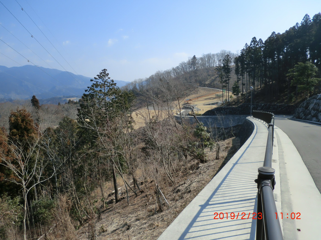 Yamakita Tsuburano Park景点图片