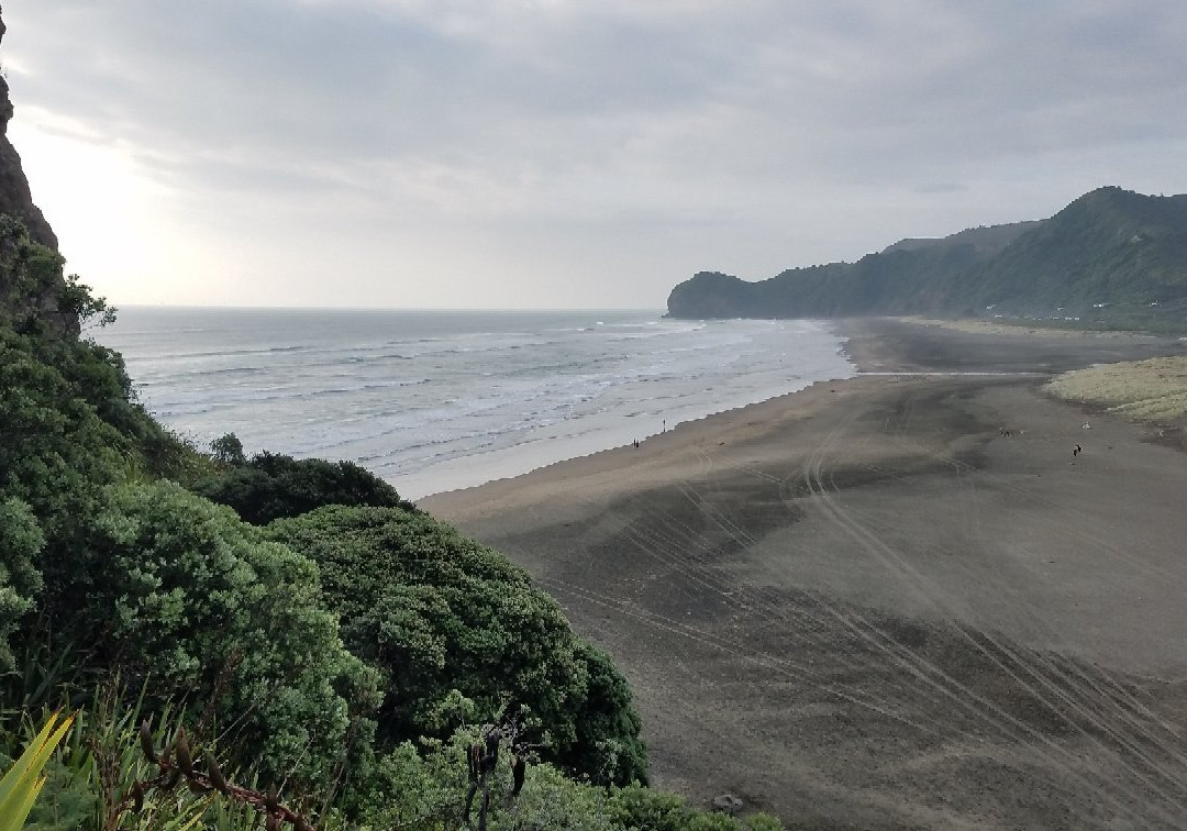 Piha Ocean Lookout主图