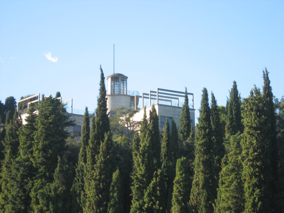 Villa il girasole marcellise景点图片