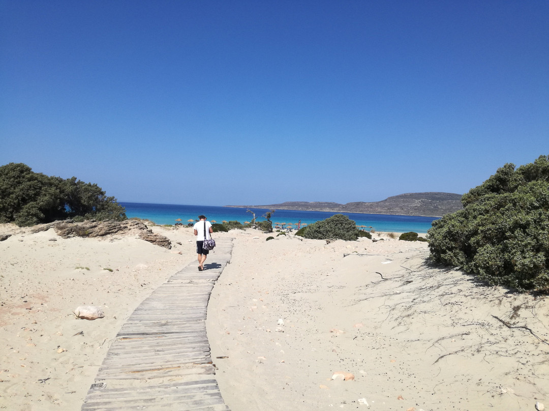 Pallas Pension主图