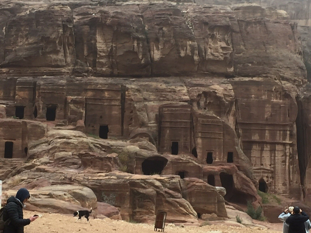 Bedouin Life Tours-佩特拉必去景点