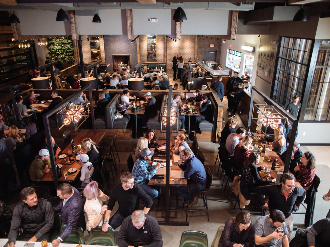 UNION BEAR BREWING CO.