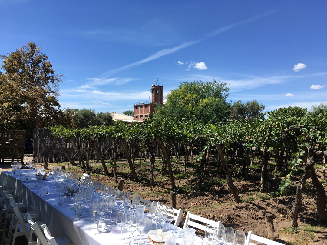 Vintuition Tours-门多萨必去景点