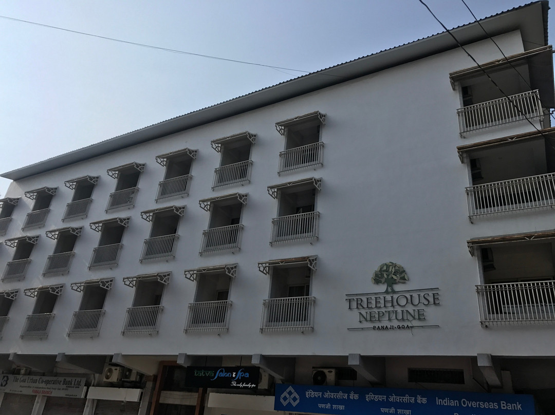 Treehouse Neptune主图