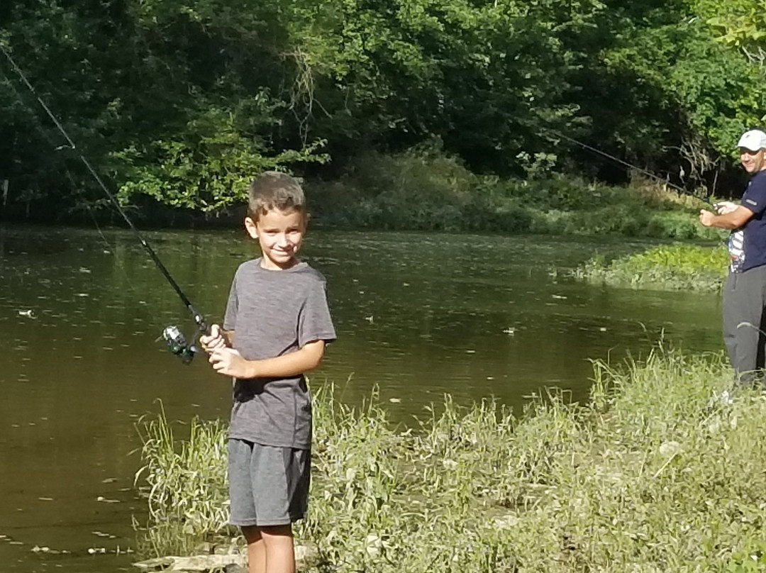 Sycamore Farms Country Inn B&B主图