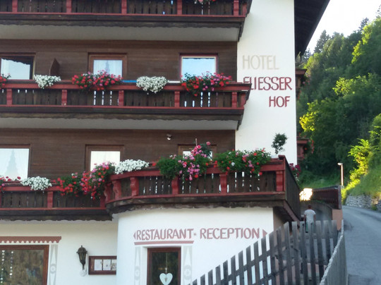 Hotel Fliesserhof主图