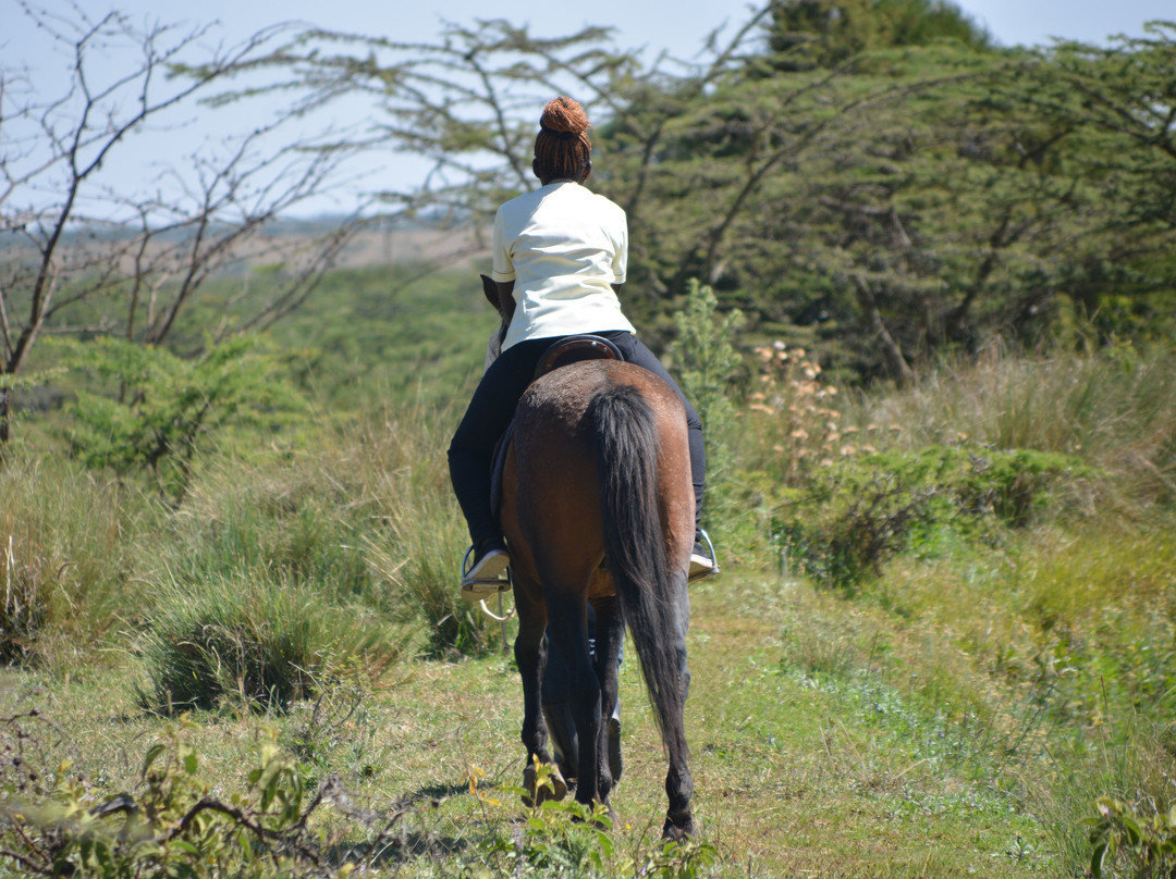 Kambi Mstuni Resort主图