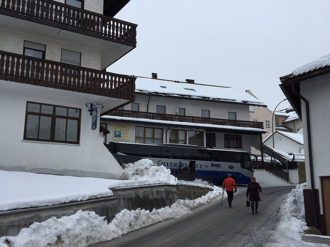 Vital & Wellness Hotel Schurger主图