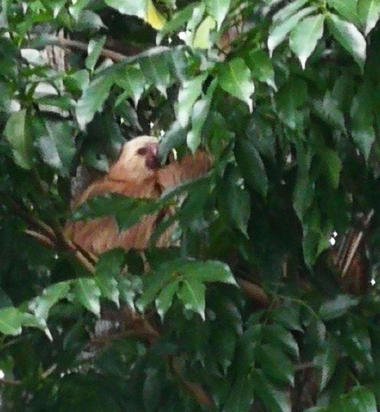 Hotel Boutique Indalo主图