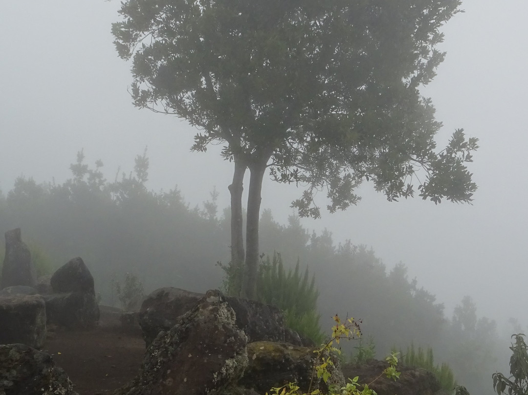 Parque Natural de Cumbre Vieja景点图片