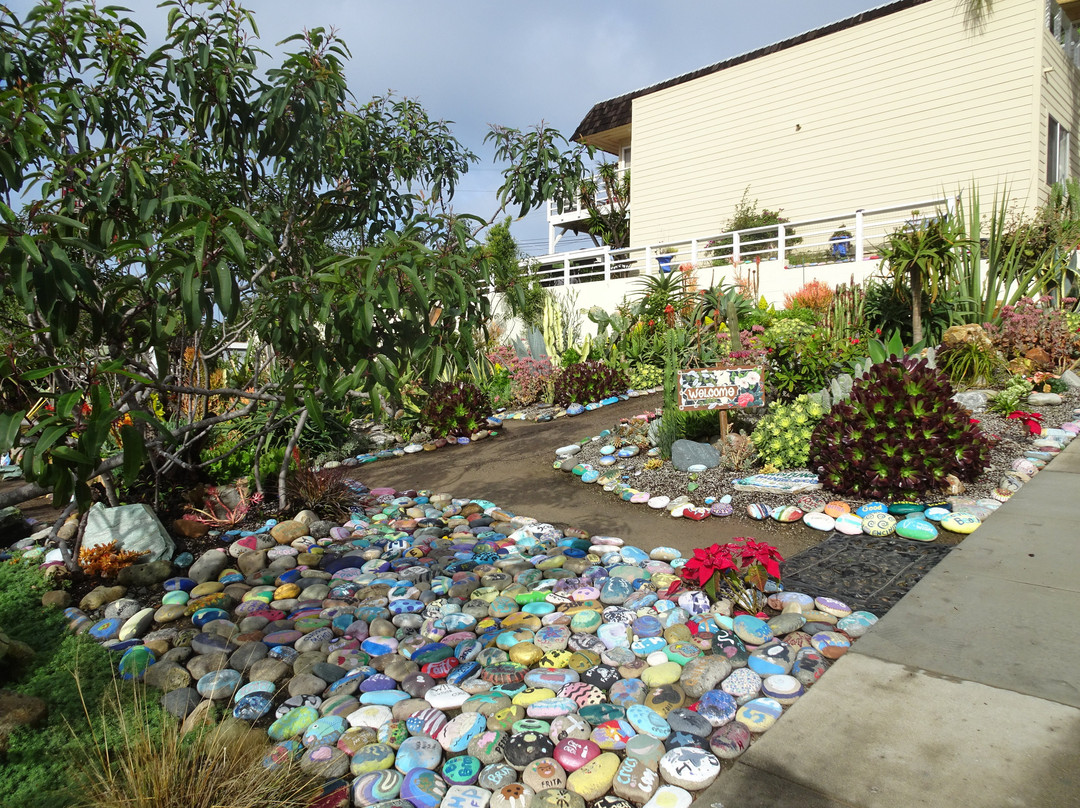 Moonlight Beach State Park-恩西尼塔斯必去景点