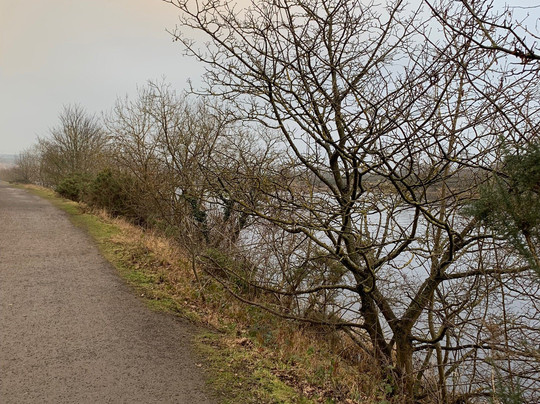 Tyne Riverside Country Park-纽卡斯尔必去景点