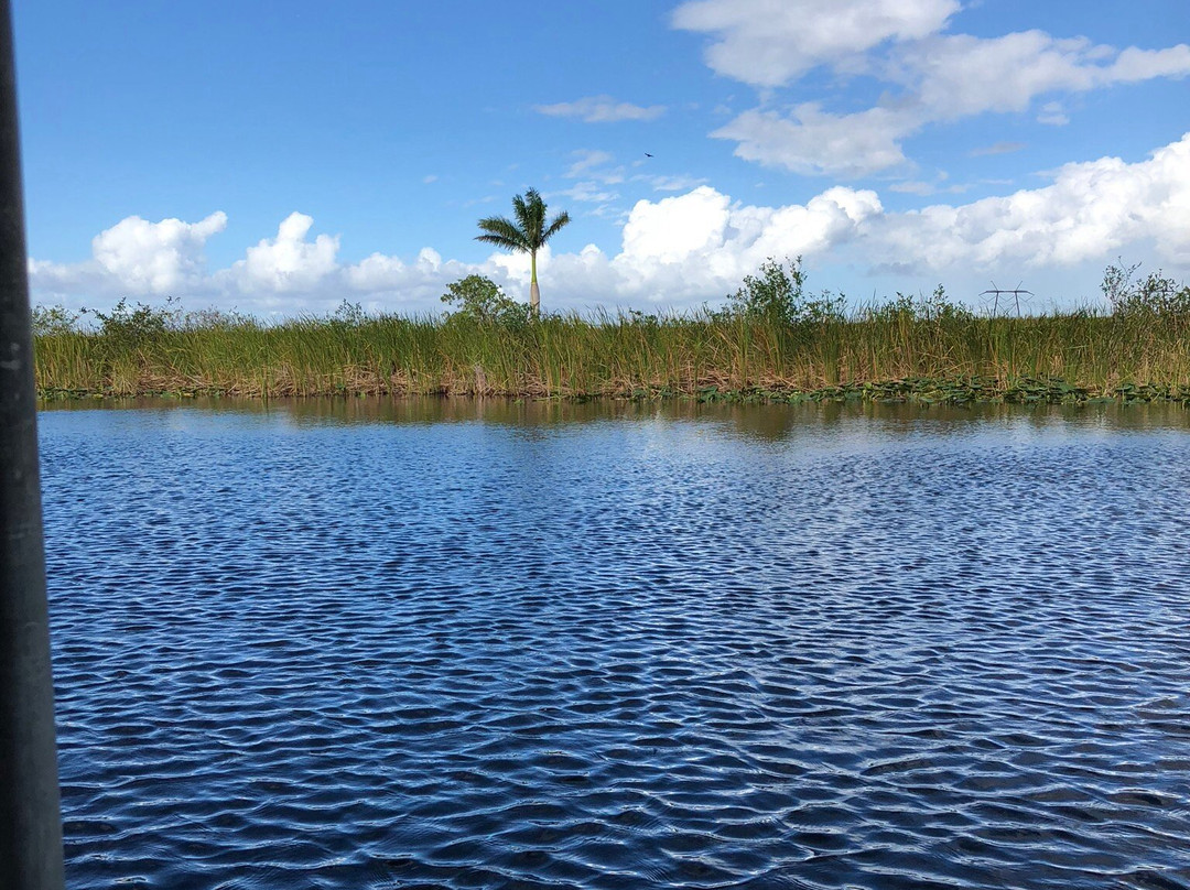 Everglades Holiday Park-劳德代尔堡必去景点