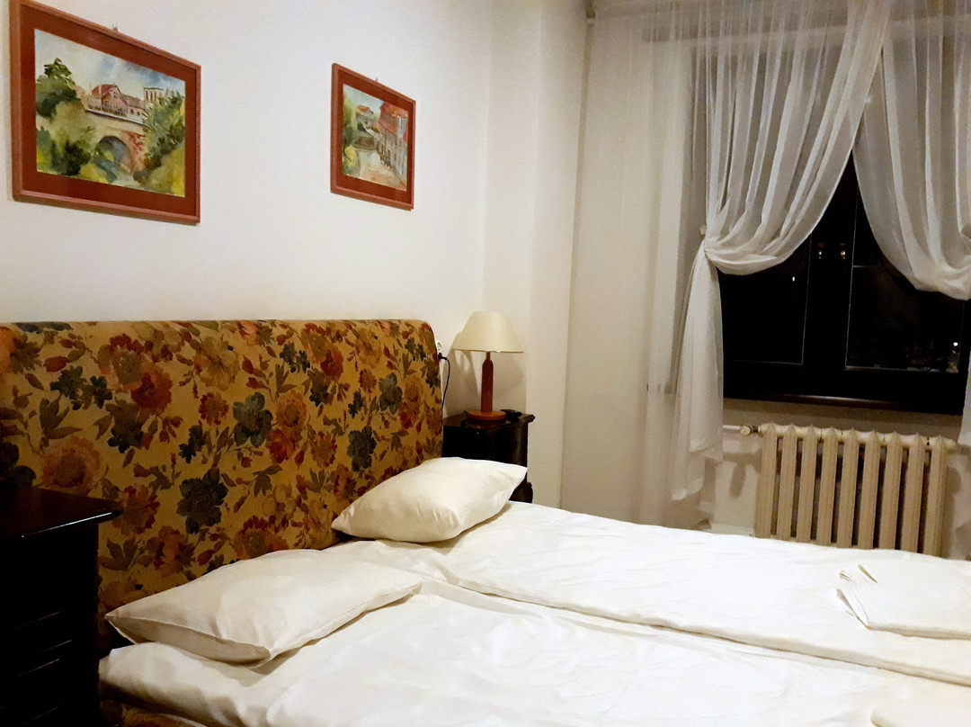 Zajazd Pod Zamkiem Hotel主图