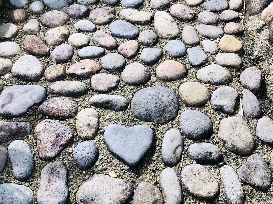 Birdsong Villa主图