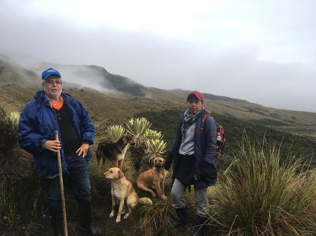 Volcan Cumbal-Cumbal必去景点