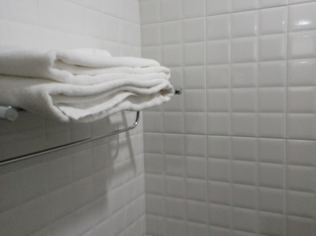 乔木提恩迎宾酒店主图