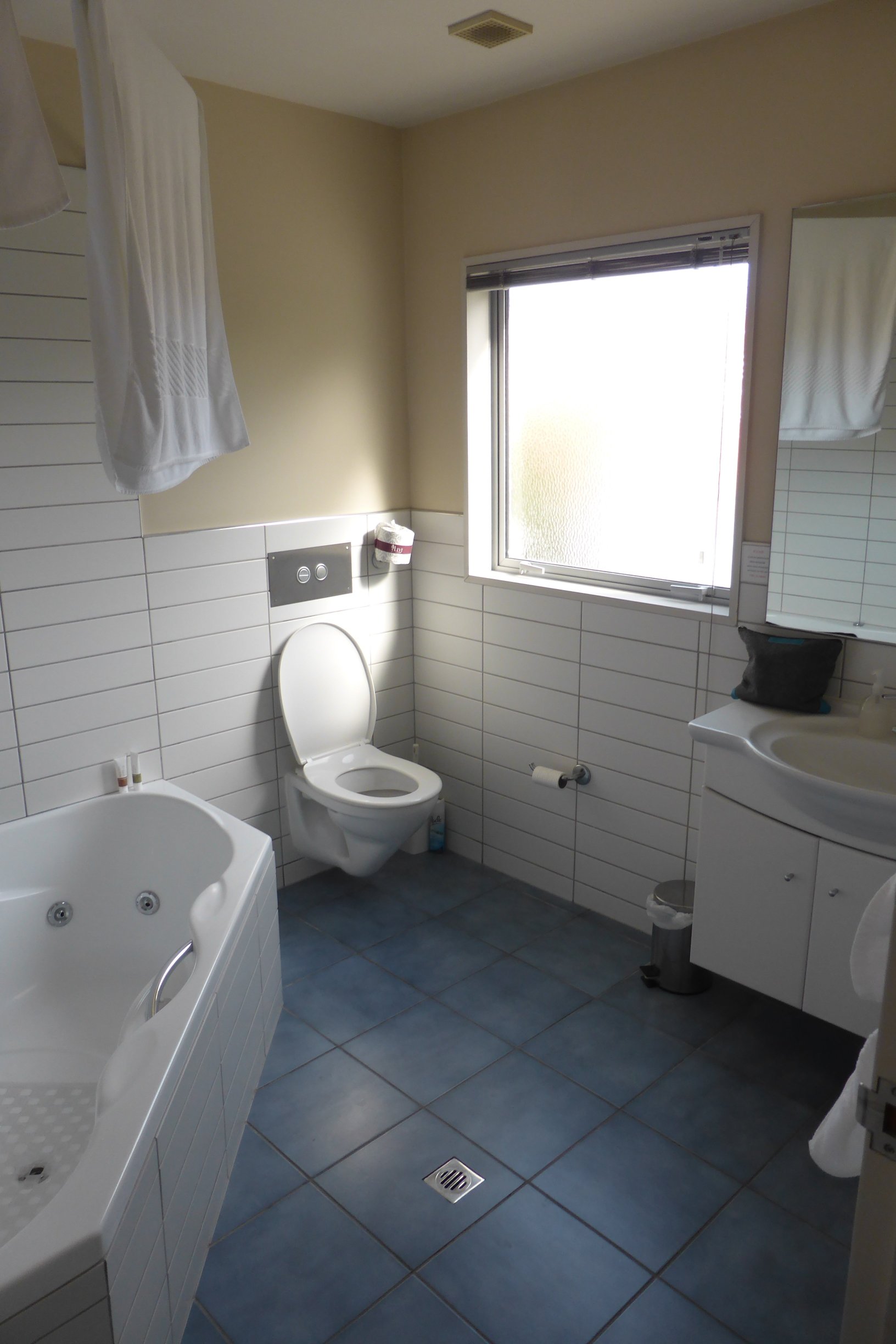 Beaches Motor Inn-浴室