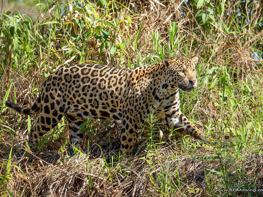 SDM adventures-Riviera必去景点