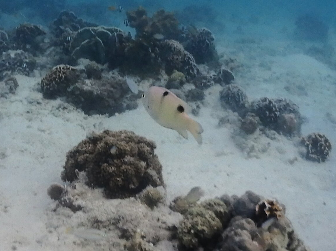 提波罗海滩度假村主图