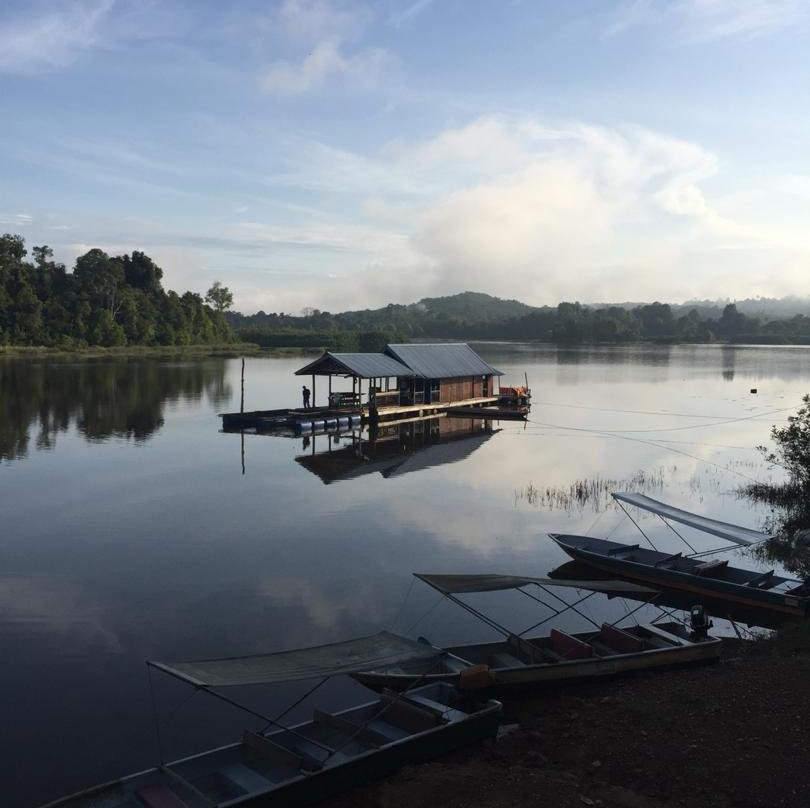 Tasik Chini景点图片