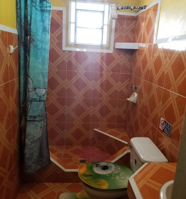 El Campesino Palillo y Rosa主图