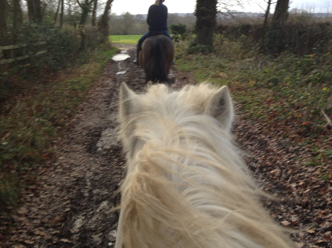 Durham Farm Riding School景点图片