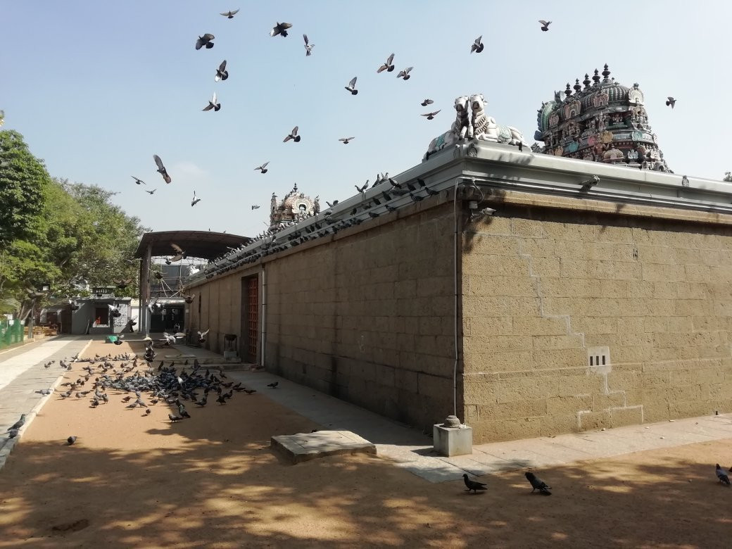 Padi Sivan Temple景点图片