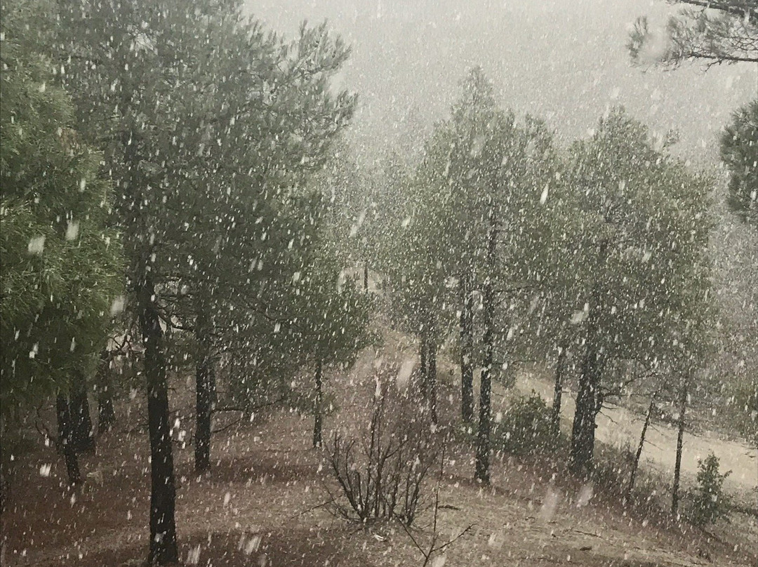 Aladag Kocagoz Otel主图