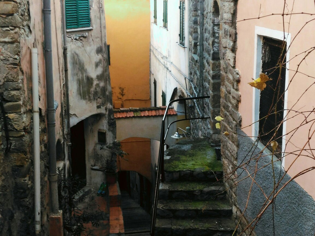 Via San Dalmazio景点图片