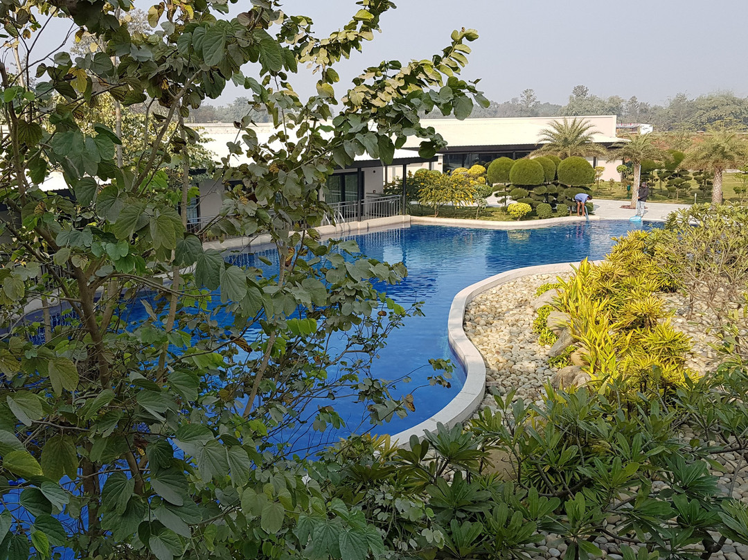 Tiger Palace Resort主图