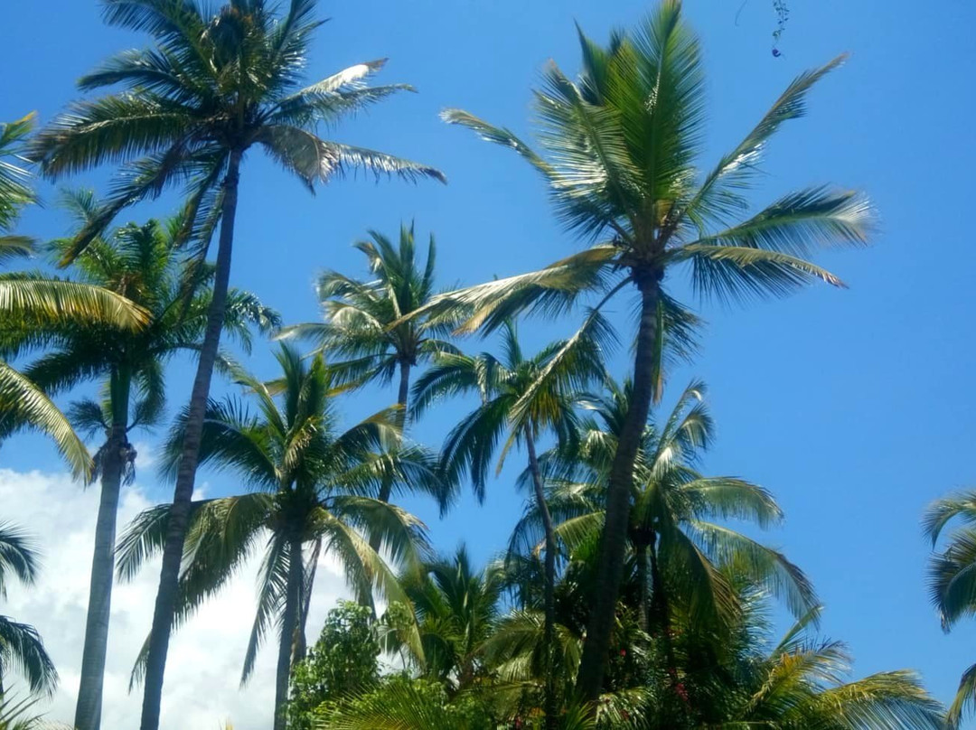 L' Hotel les Aigrettes主图