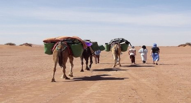 Desert Vacances-迈哈米德必去景点