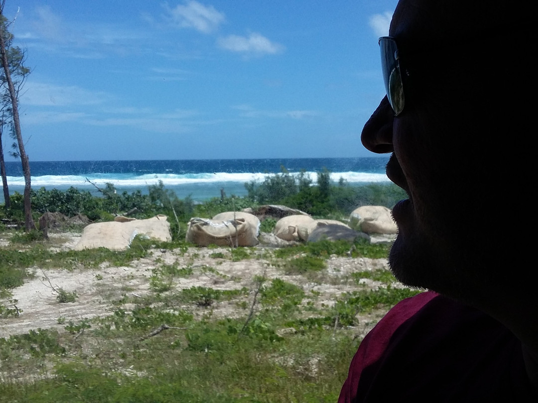 Native Round Island Tour-维拉港必去景点