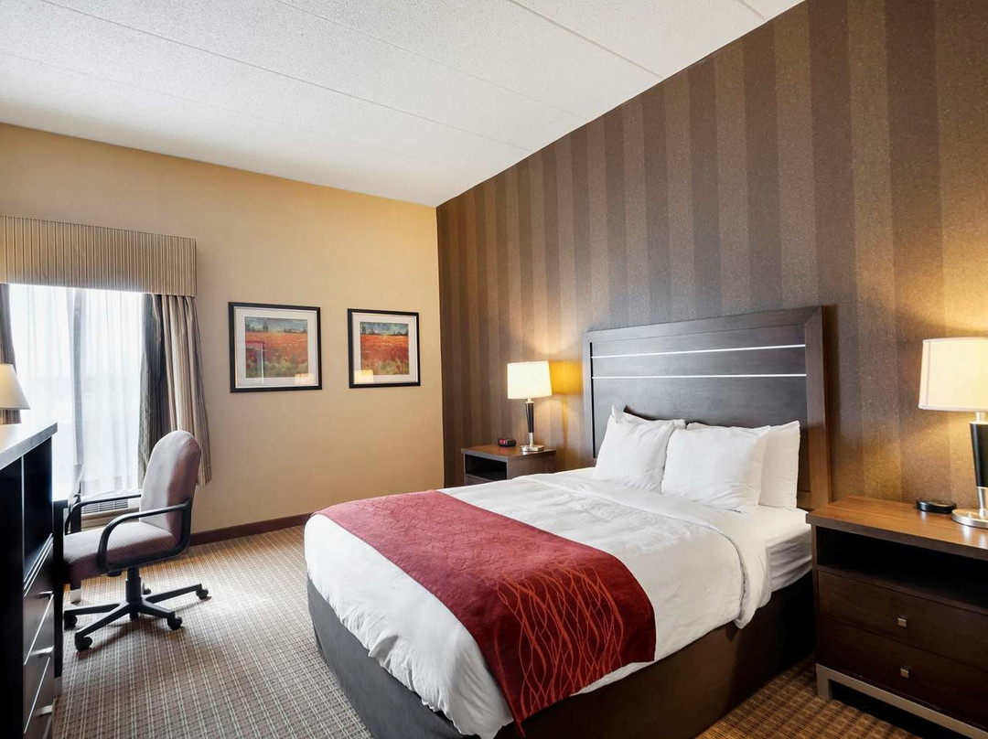 Quality Inn & Suites Bel Air I-95 Exit 77A主图