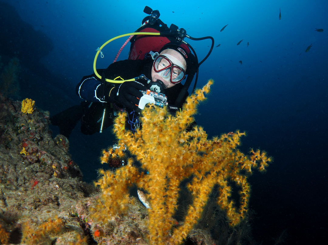Euro-Divers Lanzarote景点图片