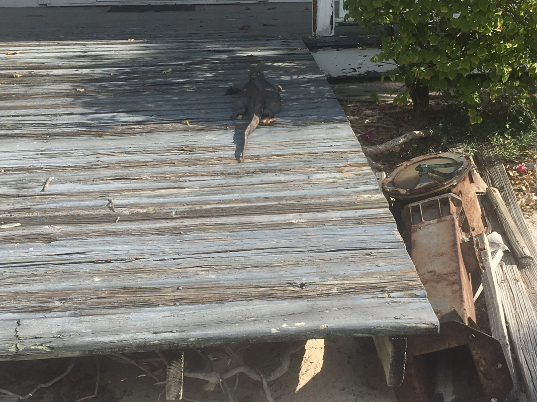 Little Cayman Museum-Little Cayman必去景点