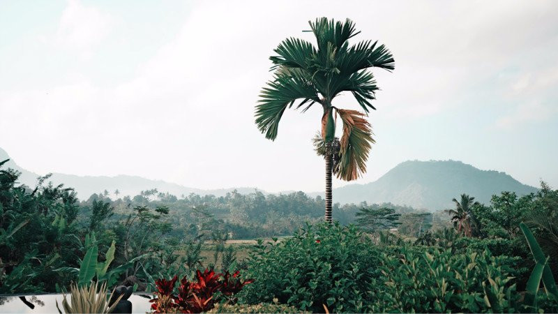 Surya Shanti Villa主图