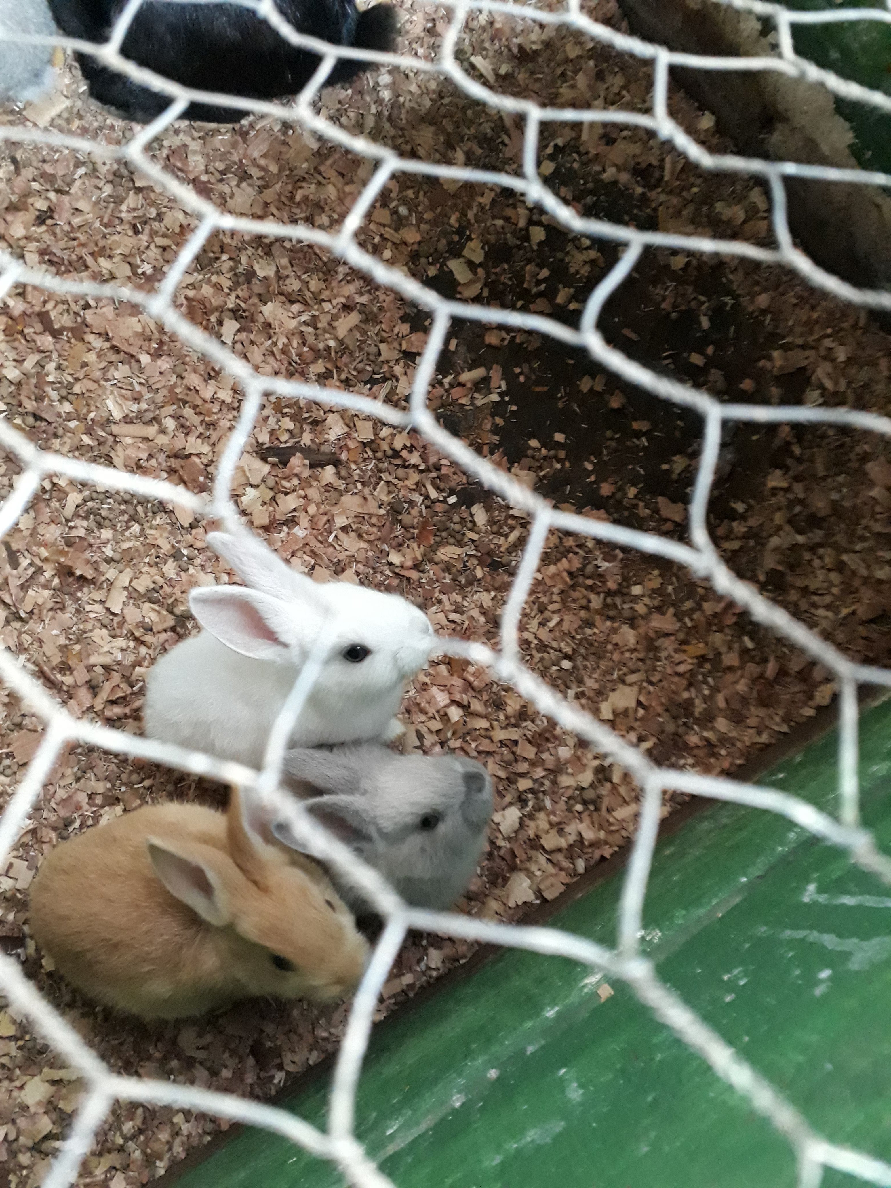 维拉英格勒萨酒店-家庭/游戏区