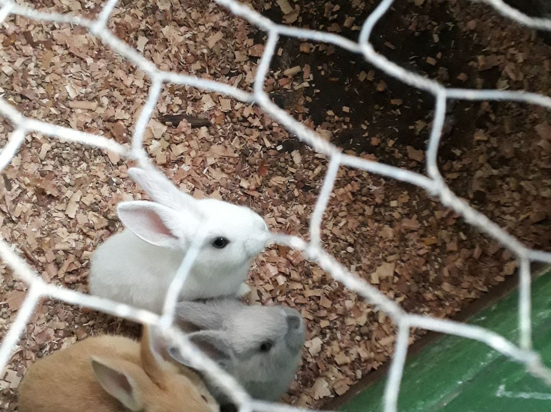 维拉英格勒萨酒店主图