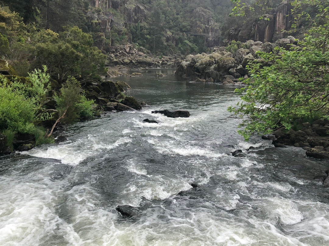 Cataract Gorge-朗塞斯顿必去景点