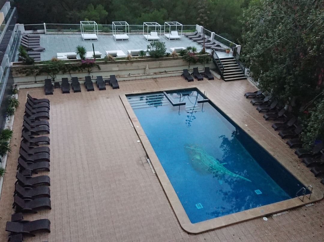 Hotel Ipanema Beach主图